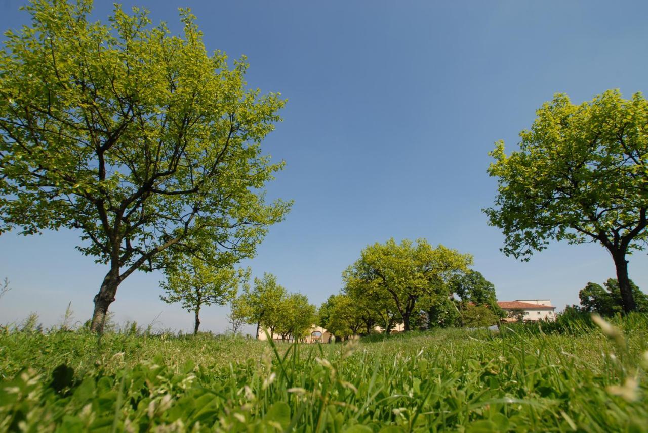 Agriturismo Corte Carezzabella San Martino di Venezze Exteriör bild